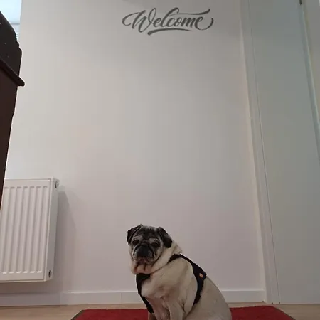 Apartment Doppelzimmer Mit Kueche